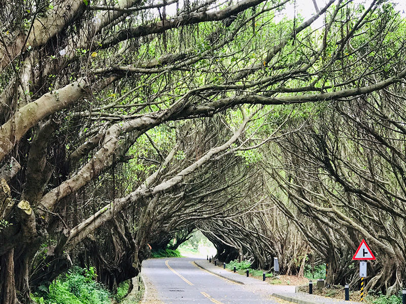 【團體旅遊豐富行】勇闖東莒燈塔、西莒龍貓隧道、芹壁地中海、北海坑道搖櫓尋找藍眼淚 馬祖南北竿東西莒島四日趣
